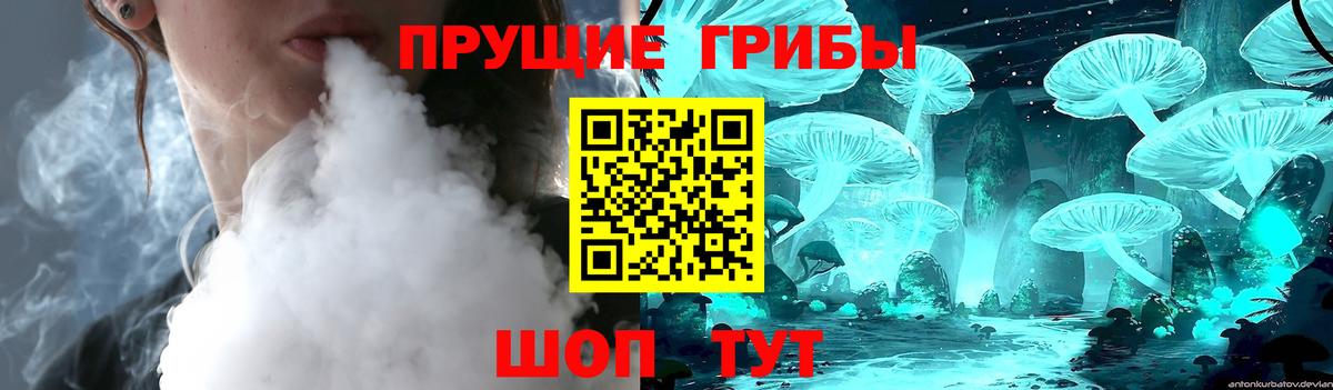 Вязники  Псилоцибиновые грибы прущие грибы  Галлюциногенные грибы Psilocybe  Вход с VPN 